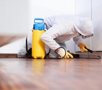 DeAnza Termite & Pest Control